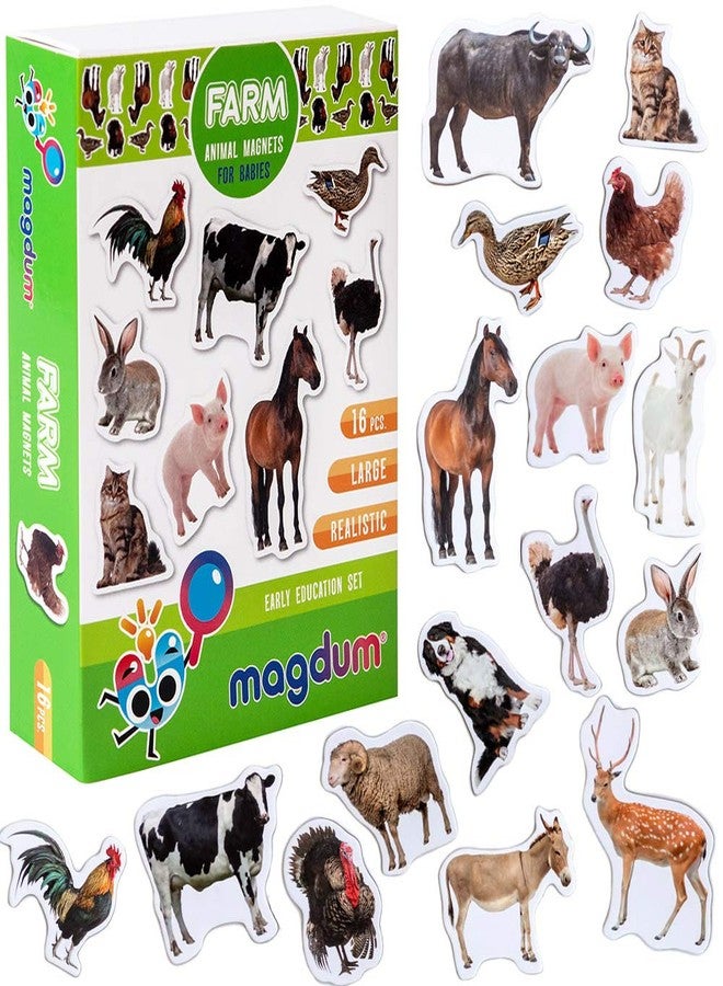 magdum Fridge Magnets for Toddlers - Magdum - 16 Farm Animal Magnets for Refrigerator - Magnetic Animals for Children - Realistic magnets for Kids - Learning Set - Baby Educational Gift - Image 1